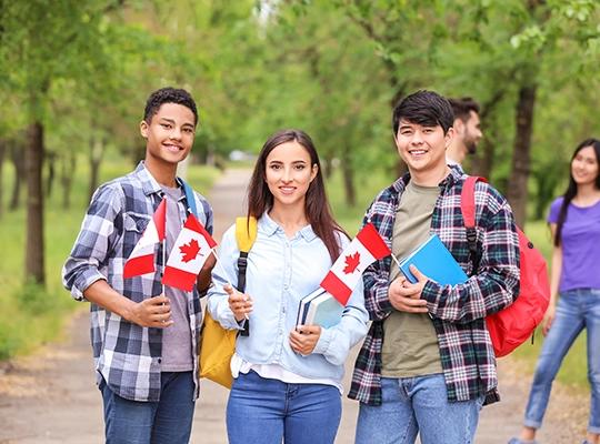 CÔNG TY TNHH TƯ VẤN VÀ DỊCH THUẬT BẢO PHƯƠNG